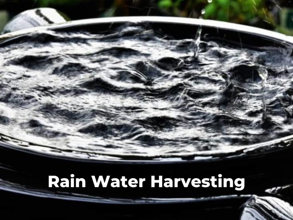 Rain water harvest